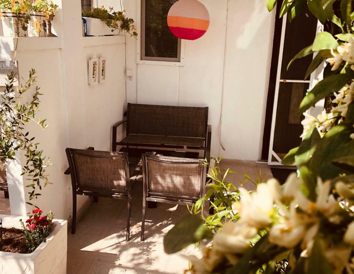אולסינץ' Apartments Mia Patria מראה חיצוני תמונה