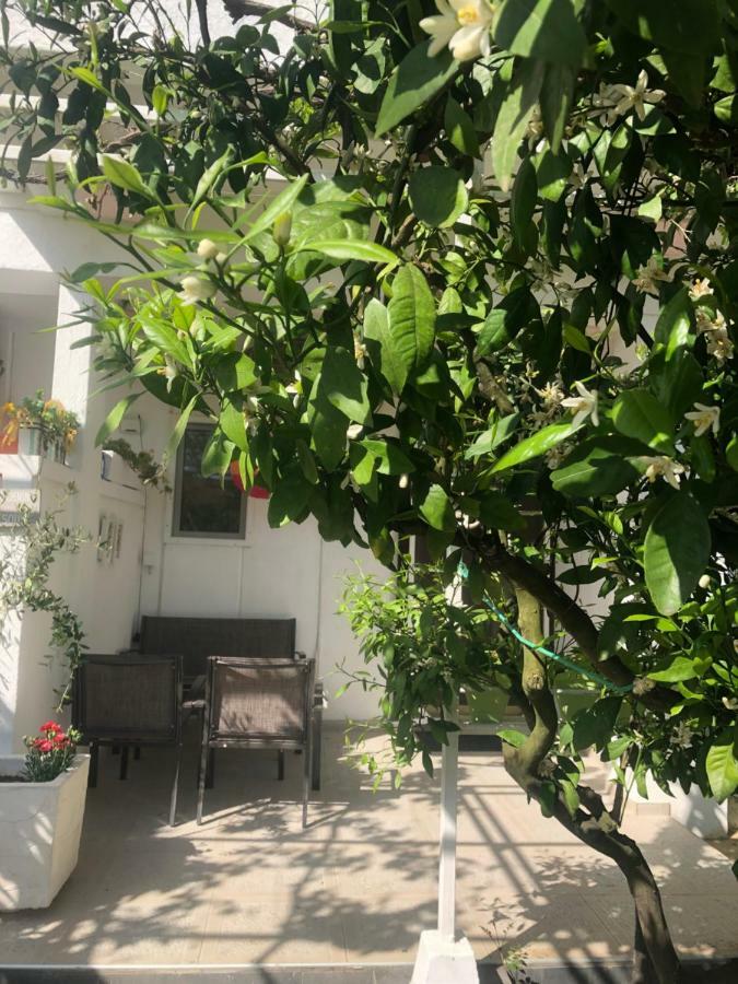 אולסינץ' Apartments Mia Patria מראה חיצוני תמונה
