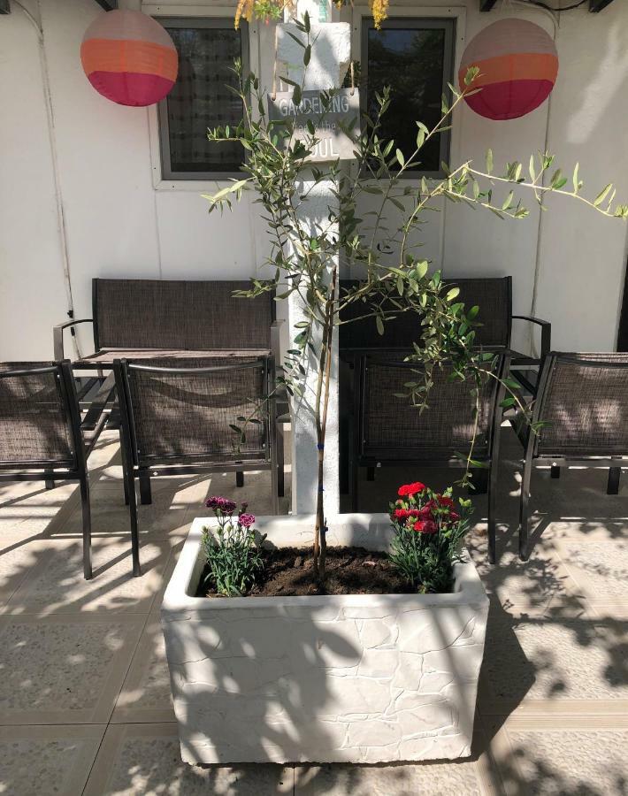 אולסינץ' Apartments Mia Patria מראה חיצוני תמונה